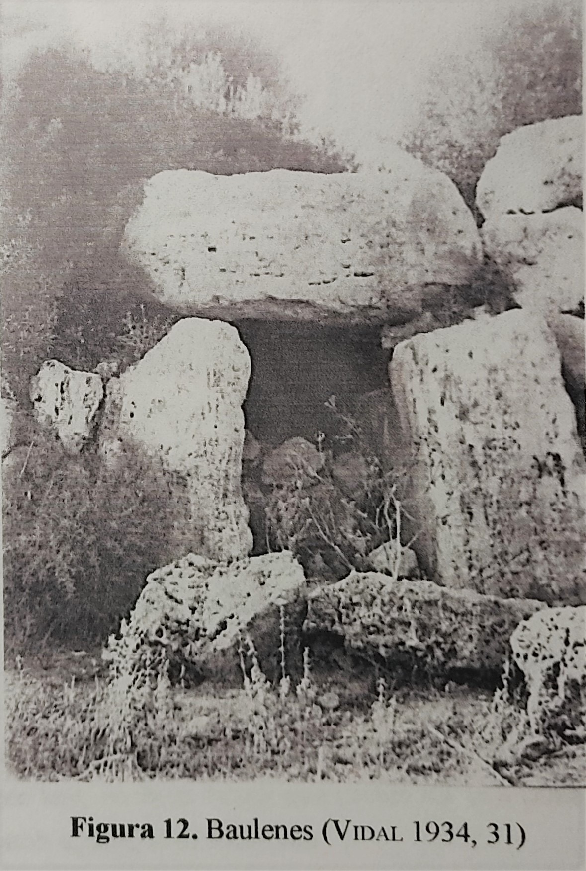 Foto Es Baulenes Vidal 1934